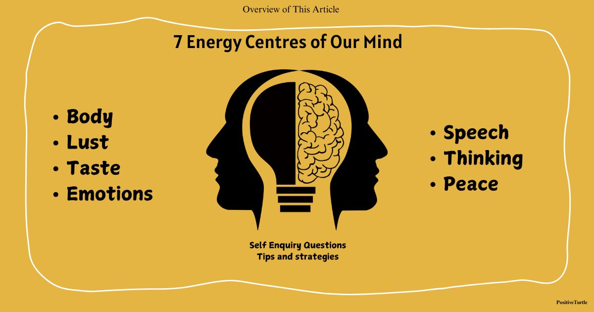 7 Energy centres of mind